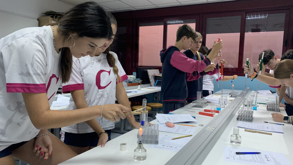 El aprendizaje colaborativo en el aula es una manera de aprender en equipo donde los alumnos se reparten las tareas y trabajan unidos.