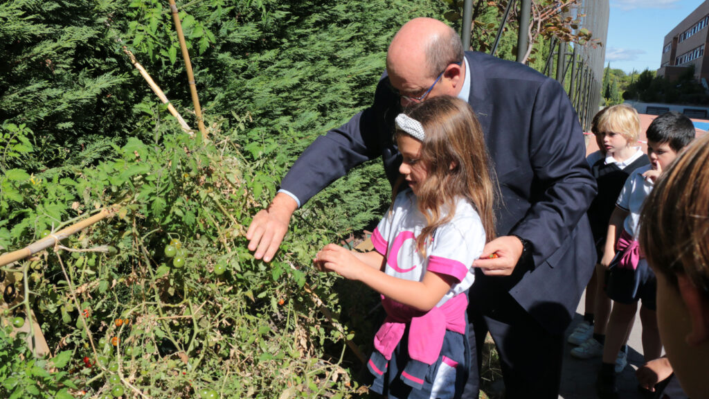 Aprendizaje y recolección en nuestro huerto con los alumnos de 2º EP