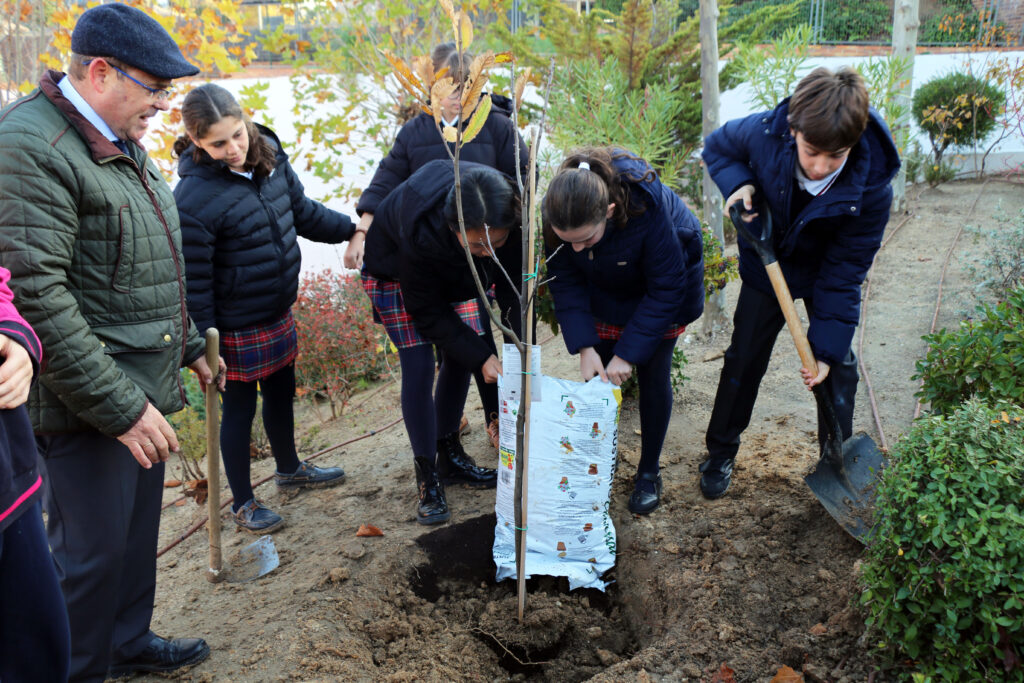 Los alumnos de Casvi Boadilla se unen a la acción del European Tree Planting Day, contribuyendo a la lucha del cambio climático.3