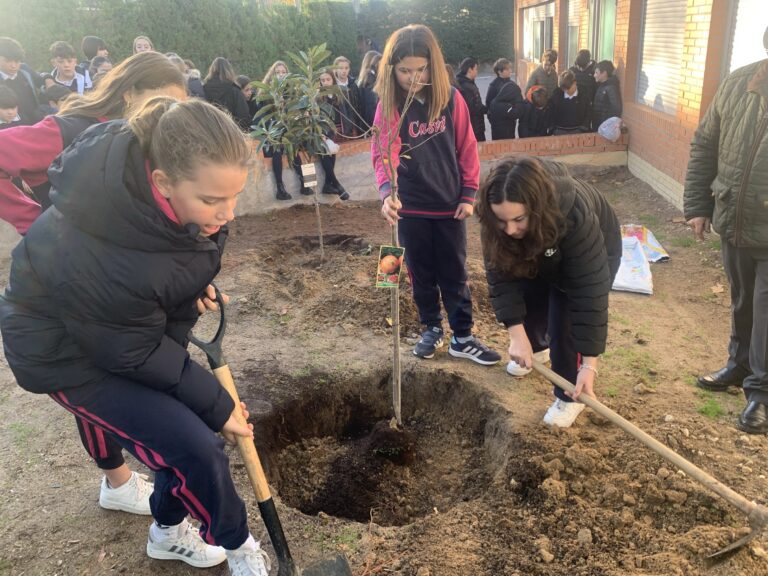 Los alumnos de Casvi Boadilla se unen a la acción del European Tree Planting Day, contribuyendo a la lucha del cambio climático.