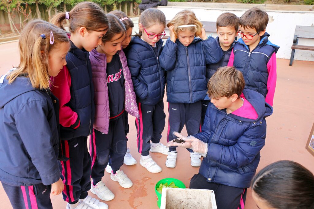 Actividades para cuidar el medio ambiente