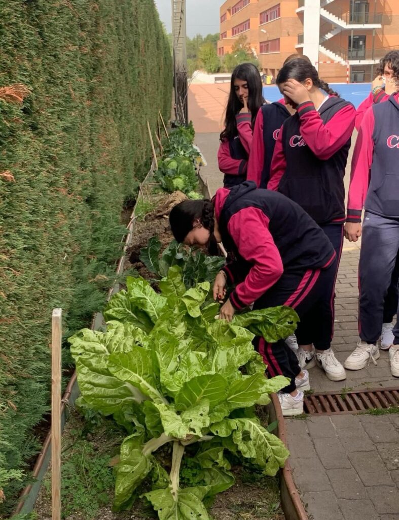 1º de bachiller en una nueva jornada de huerto