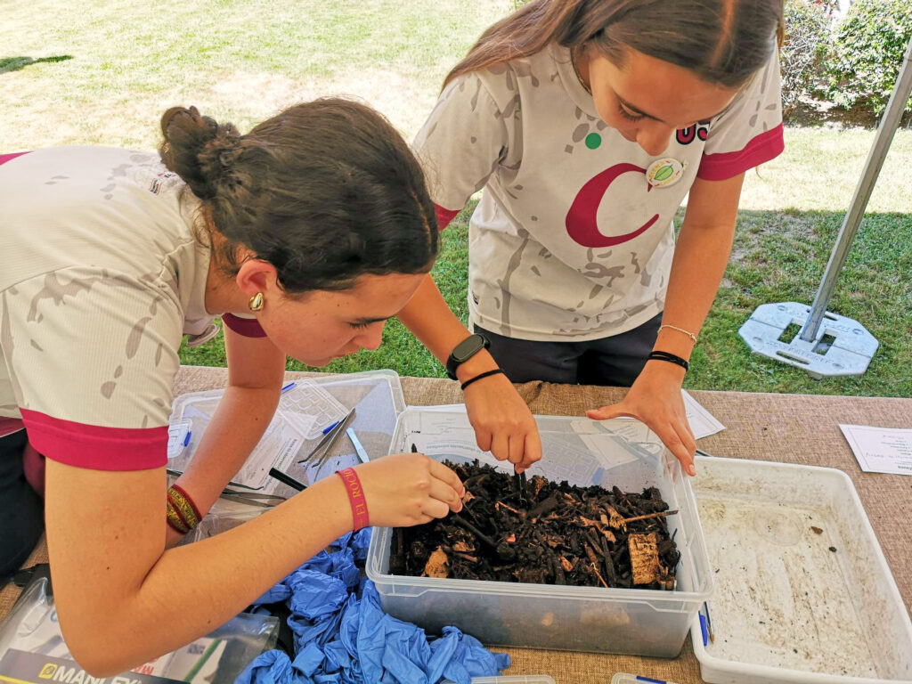 Jóvenes comprometidos con el futuro: protagonistas del V Congreso “Escuelas circulares y sostenibles 2030” Nuestro alumnado ha vivido una experiencia inolvidable en el V Congreso “Escuelas Circulares y Sostenibles 2030”, donde han demostrado que la educación ambiental también se construye desde las aulas. 2