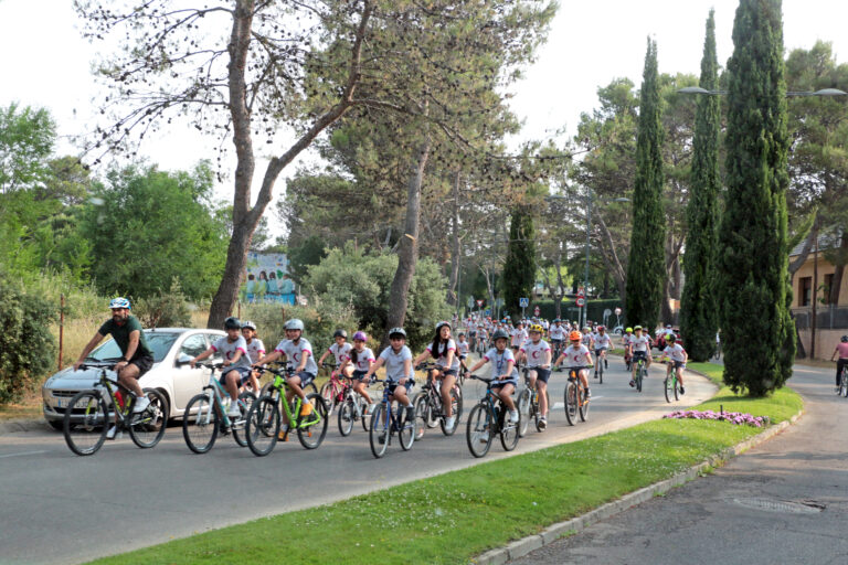 Día de la Bicicleta: seguridad vial en acción 3