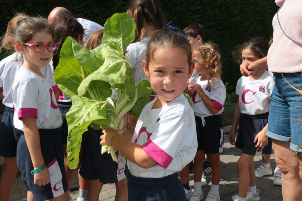Los alumnos de distintas etapas comienzan una nueva temporada de siembra y cuidado de las plantas 2