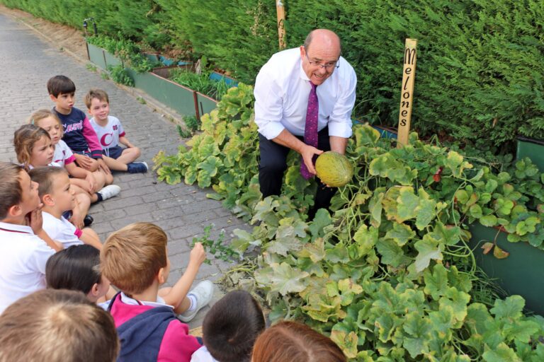 Los alumnos de distintas etapas comienzan una nueva temporada de siembra y cuidado de las plantas