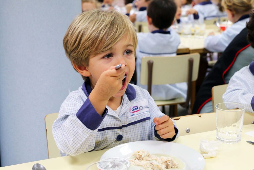 comida saludable