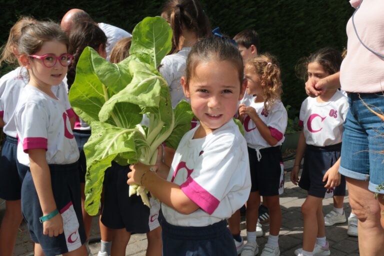 Huerto en la parte de Eco-Casvi
