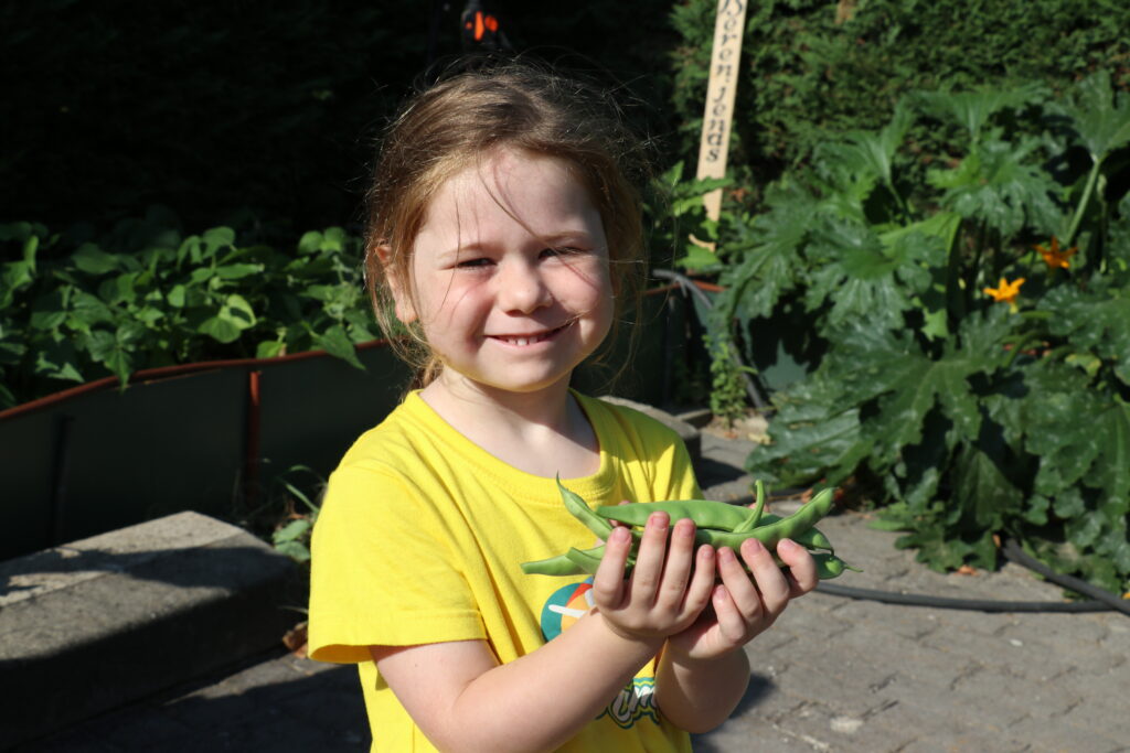 Actividades en el campamento de verano 1